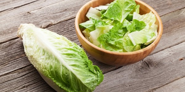 تصویر 4 از خرید و قیمت کاهو سالادی صادراتی + فروش صادراتی